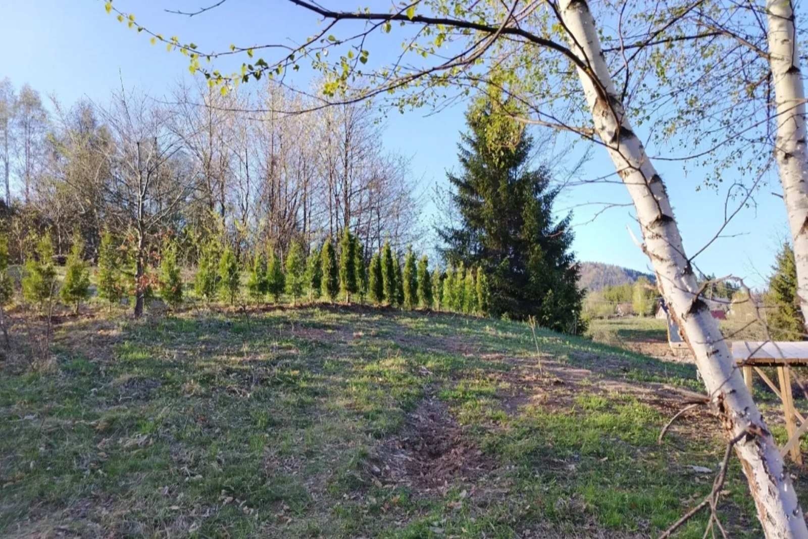 Plac Zaovine-Tara