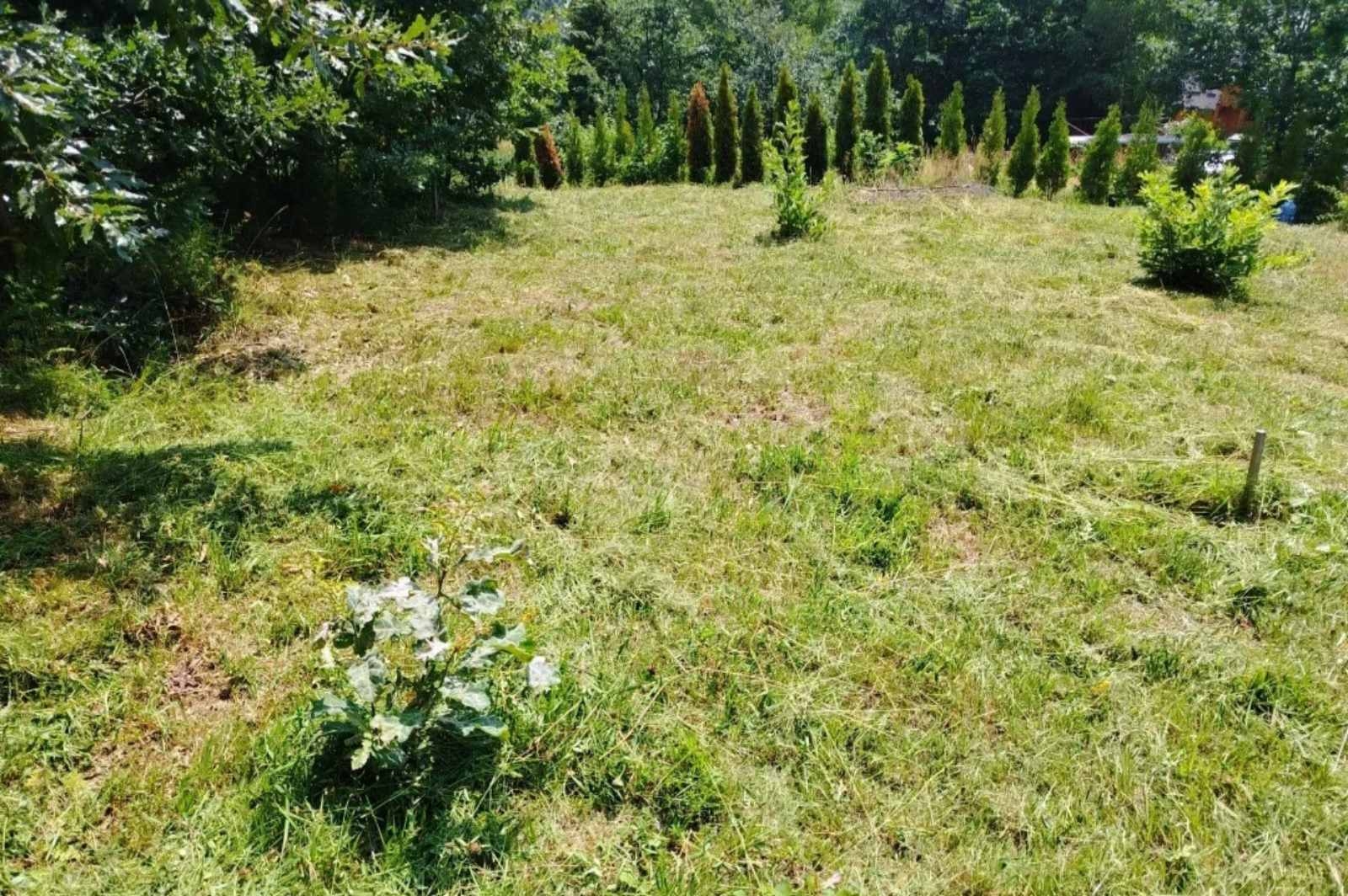 Plac Zaovine-Tara